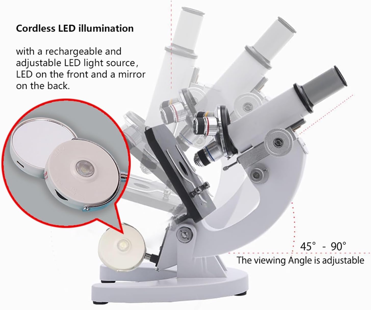 A:イチョウのまな板【約538✖︎900厚み34㎜】魚捌きやジビエ用に